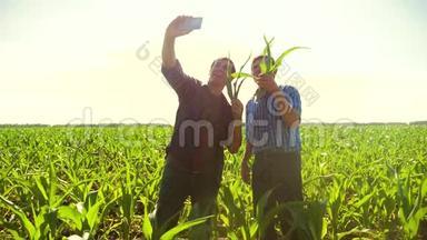 玉米两个农民研究智能<strong>手机做</strong>自拍走过他的田地走向相机。 慢速<strong>视频</strong>玉米地